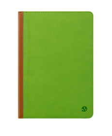 Mary Case for iPad Air with Sleep Mode (Green/Brown) 