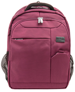Germini Laptop Backpack 15"