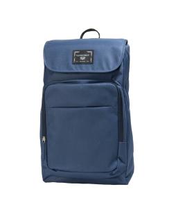 Grandiose Travel Business Backpack Fits up to 17.3, Blue